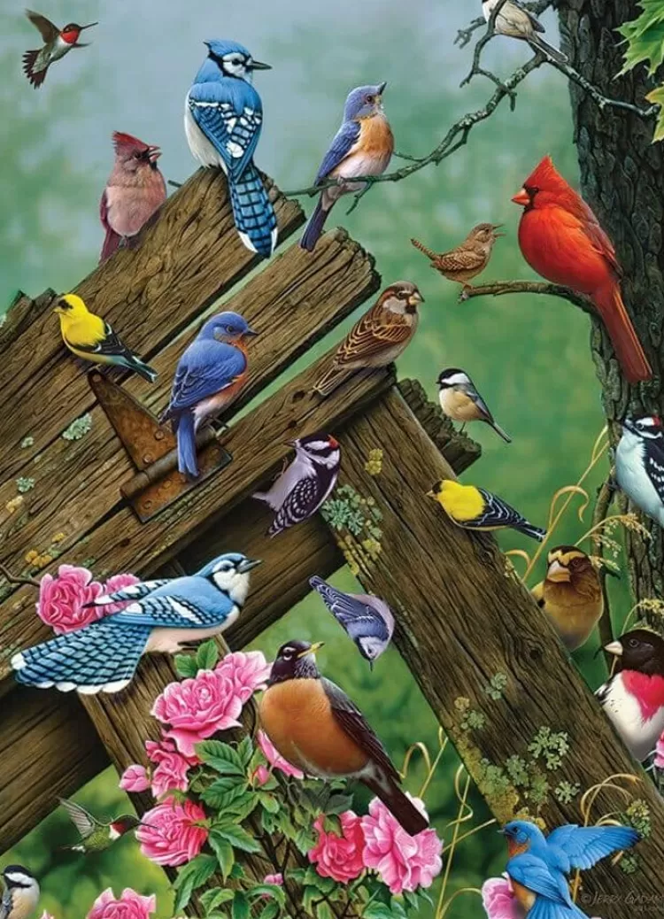 Cobble Hill Animals & Wildlife* - Birds Of The Forest - 1000 Piece Jigsaw Puzzle