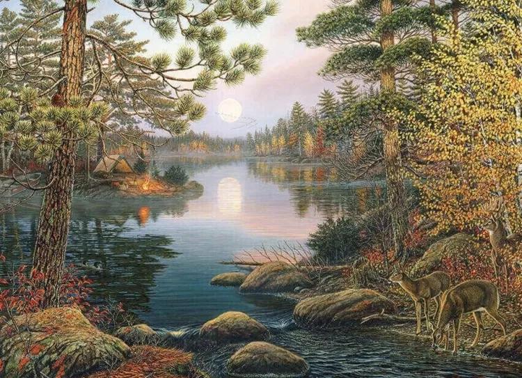 Cobble Hill Landscape* - Deer Lake - 1000 Piece Jigsaw Puzzle