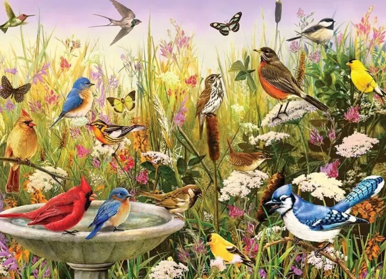 Cobble Hill Animals & Wildlife* - Feathered Friends - 1000 Piece Jigsaw Puzzle