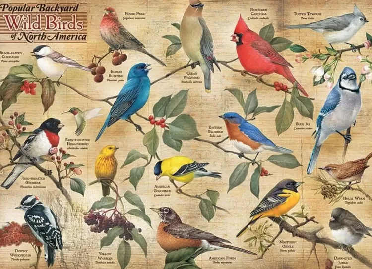 Cobble Hill Animals & Wildlife* - Popular Backyard Wild Birds Of North America - 1000 Piece Jigsaw Puzzle