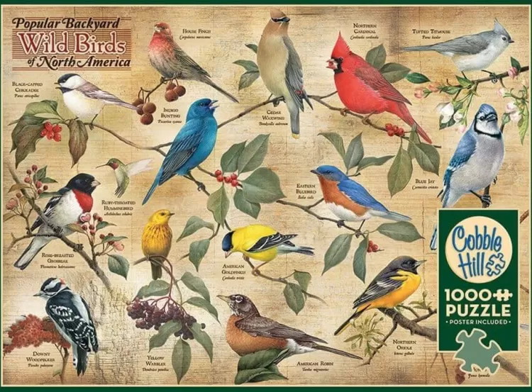 Cobble Hill Animals & Wildlife* - Popular Backyard Wild Birds Of North America - 1000 Piece Jigsaw Puzzle