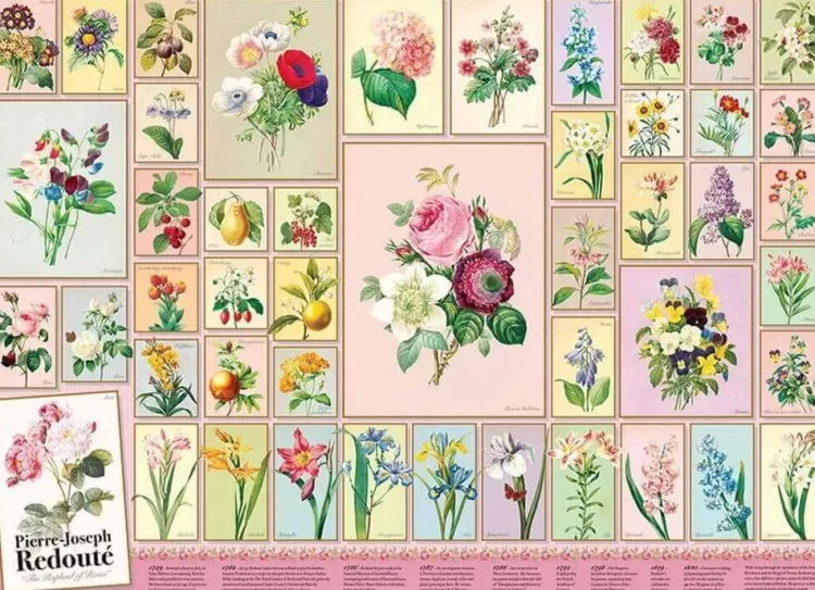 Cobble Hill Flowers & Gardens* - Redoute - 1000 Piece Jigsaw Puzzle