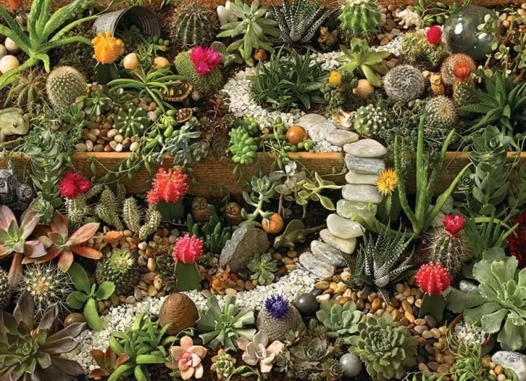 Cobble Hill Flowers & Gardens* - Succulent Garden - 1000 Piece Jigsaw Puzzle