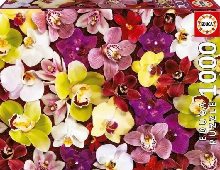 Educa Flowers & Gardens* - Orchid Collage - 1000 Piece Jigsaw Puzzle