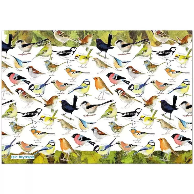 Great British Jigsaws Animals & Wildlife*Emma Ball - British Birds - 1000 Piece Jigsaw Puzzle