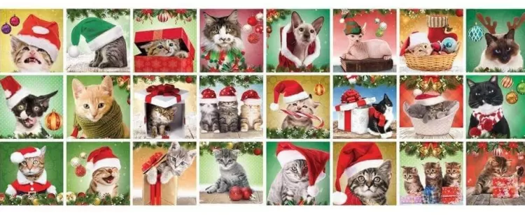 Eurographics Christmas* - Christmas Cats - Advent Calendar - 24 X 50 Jigsaw Puzzle