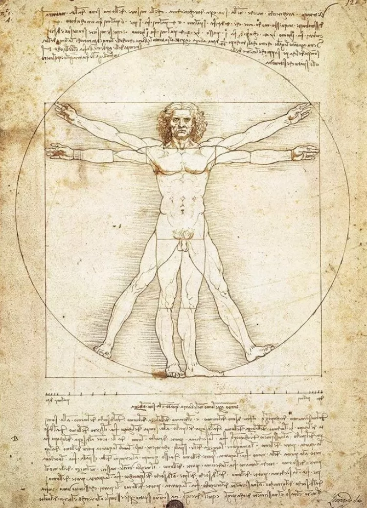 Eurographics Art* - Da Vinci - The Vitruvian Man - 1000 Piece Jigsaw Puzzle
