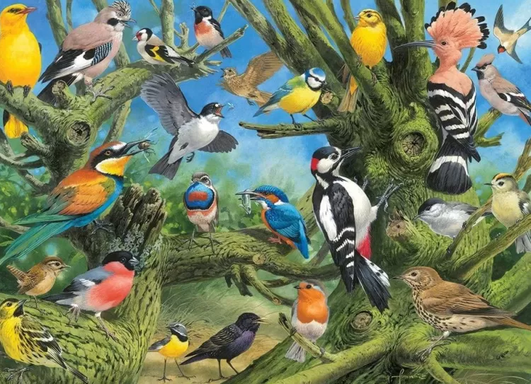 Eurographics Animals & Wildlife* - Garden Birds - 1000 Piece Jigsaw Puzzle