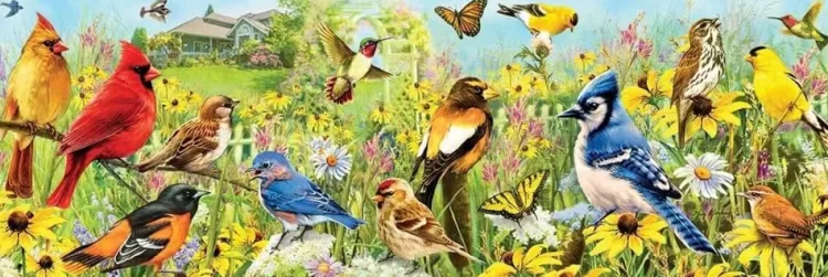 Eurographics Panoramic* - Garden Birds - Panoramic 1000 Piece Jigsaw Puzzle