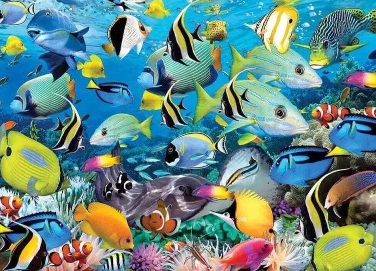 Eurographics Animals & Wildlife* - Ocean Colours - 1000 Piece Jigsaw Puzzle