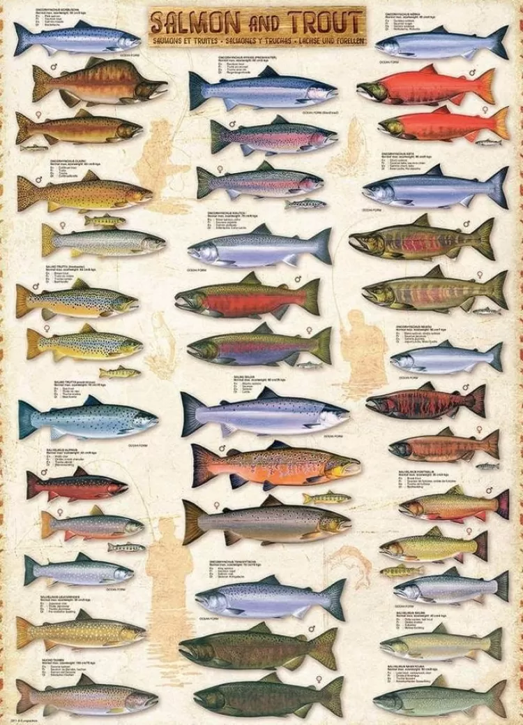 Eurographics Pastimes* - Salmon & Trout - 1000 Piece Jigsaw Puzzle