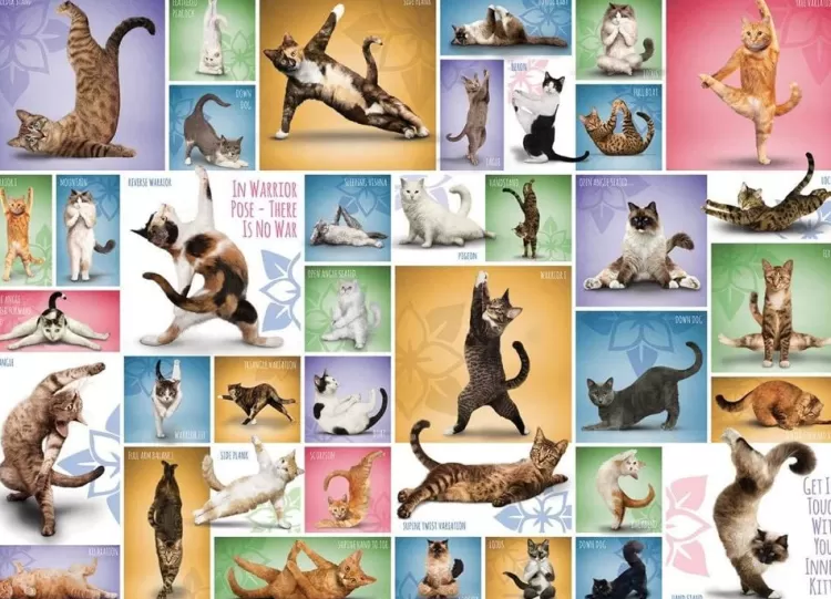 Eurographics Animals & Wildlife* - Yoga Cats - 1000 Piece Jigsaw Puzzle