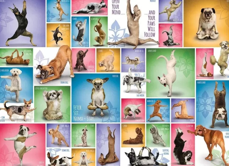 Eurographics Animals & Wildlife* - Yoga Dogs - 1000 Piece Jigsaw Puzzle