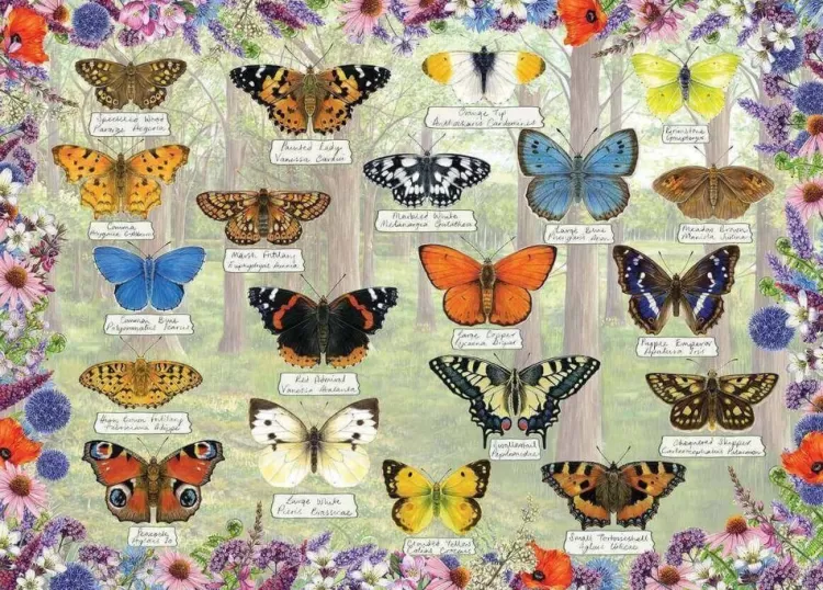 Gibsons Animals & Wildlife* - Beautiful Butterflies - 1000 Piece Jigsaw Puzzle