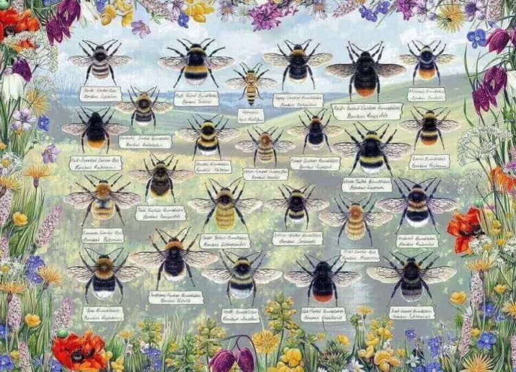 Gibsons Animals & Wildlife* - Brilliant Bees - 1000 Piece Jigsaw Puzzle