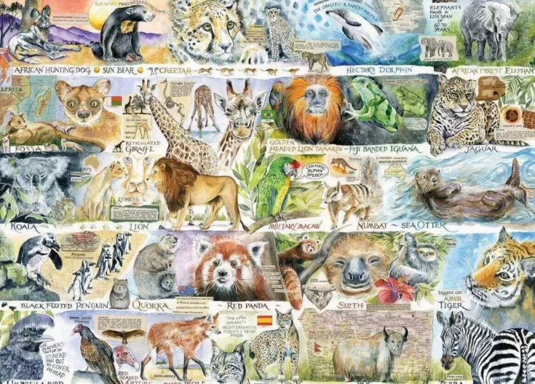 Gibsons Animals & Wildlife* - Sun Bears & Sloths - 1000 Piece Jigsaw Puzzle