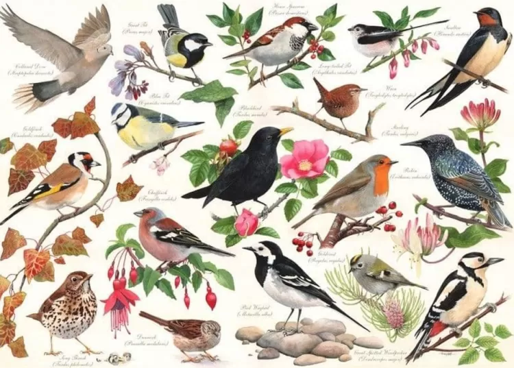 House of Puzzles Animals & Wildlife* - Birds In My Garden - 1000 Piece Jigsaw Puzzle