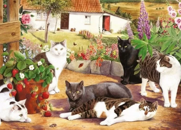 House of Puzzles Animals & Wildlife* - Cool Cats - 500Xl Piece Jigsaw Puzzle