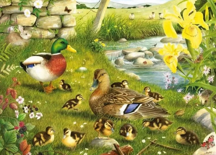 House of Puzzles Animals & Wildlife* - Ducks To Water - 500Xl Piece Jigsaw Puzzle