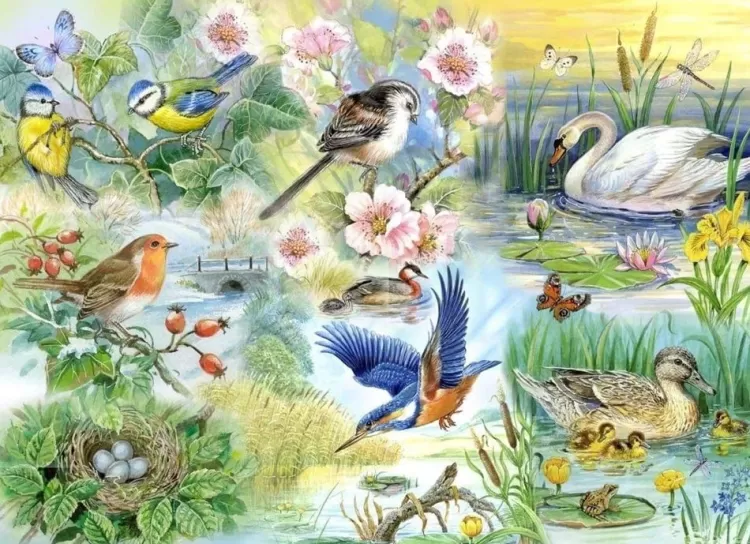 House of Puzzles Animals & Wildlife* - Feathered Friends - 250Xl Piece Jigsaw Puzzle