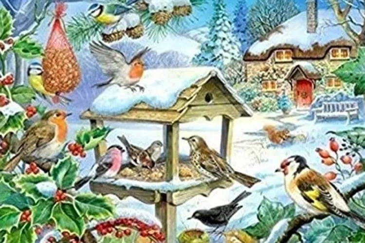 House of Puzzles Christmas* - Feed The Birds - 250Xl Piece Jigsaw Puzzle