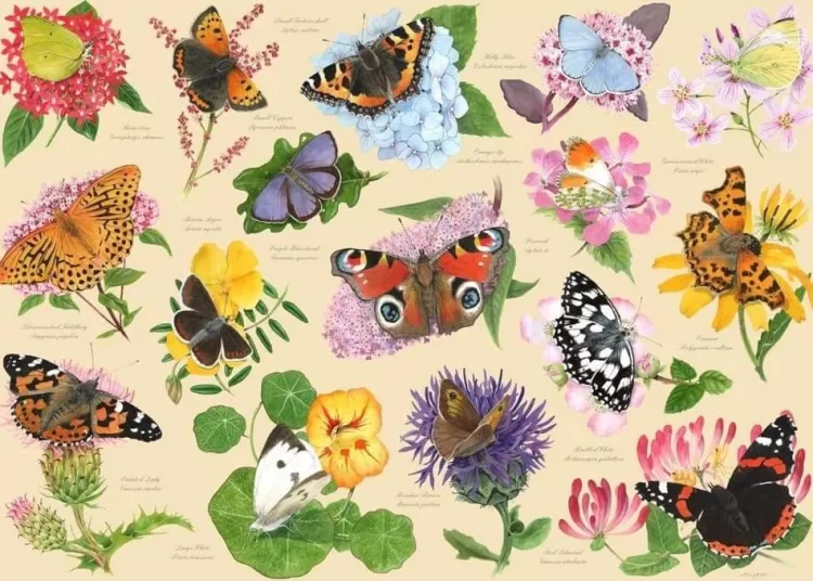 House of Puzzles Flowers & Gardens* - Garden Butterflies - 1000 Piece Jigsaw Puzzle