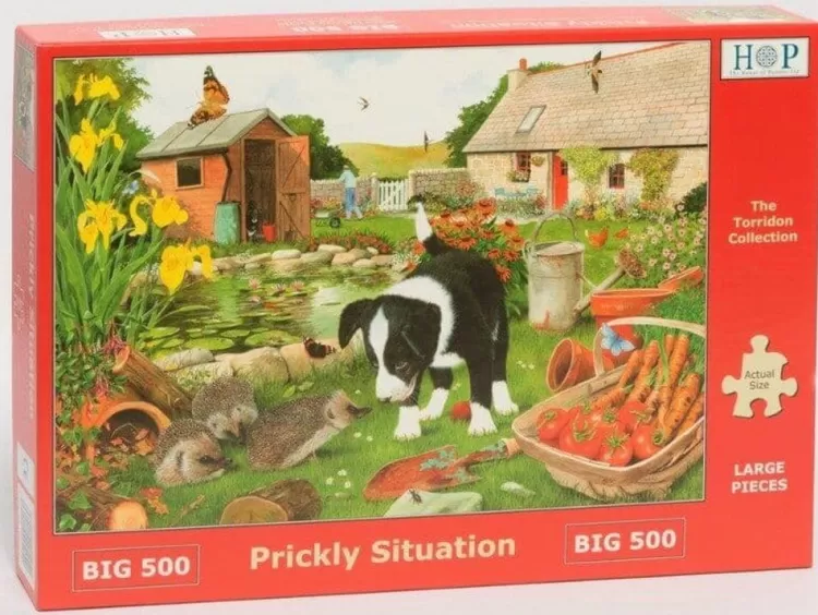 House of Puzzles Flowers & Gardens* - Prickly Situation - 500Xl Piece Jigsaw Puzzle