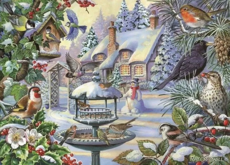 House of Puzzles Christmas* - Winter Birds - 500Xl Piece Jigsaw Puzzle