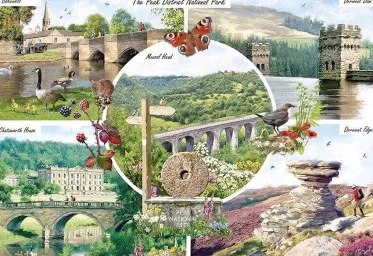 Otter House Animals & Wildlife* - Peak District National Park - 1000 Piece Jigsaw Puzzle