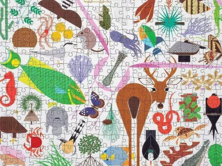 Pomegranate Animals & Wildlife*Pomegrante - Charley Harper -Wildlife Wonders - 500 Pieces