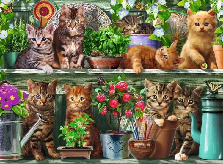 Ravensburger Animals & Wildlife* - Cats On The Shelf - 500 Piece Jigsaw Puzzle