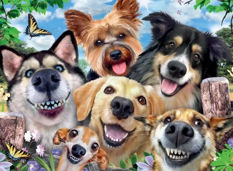 Ravensburger Humour* - Selfies Dogs Delight - 500 Piece Jigsaw Puzzle