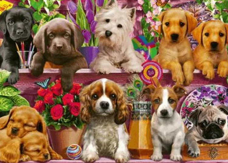 Schmidt Animals & Wildlife* - Dog In The Shelves - 500 Piece Jigsaw Puzzle